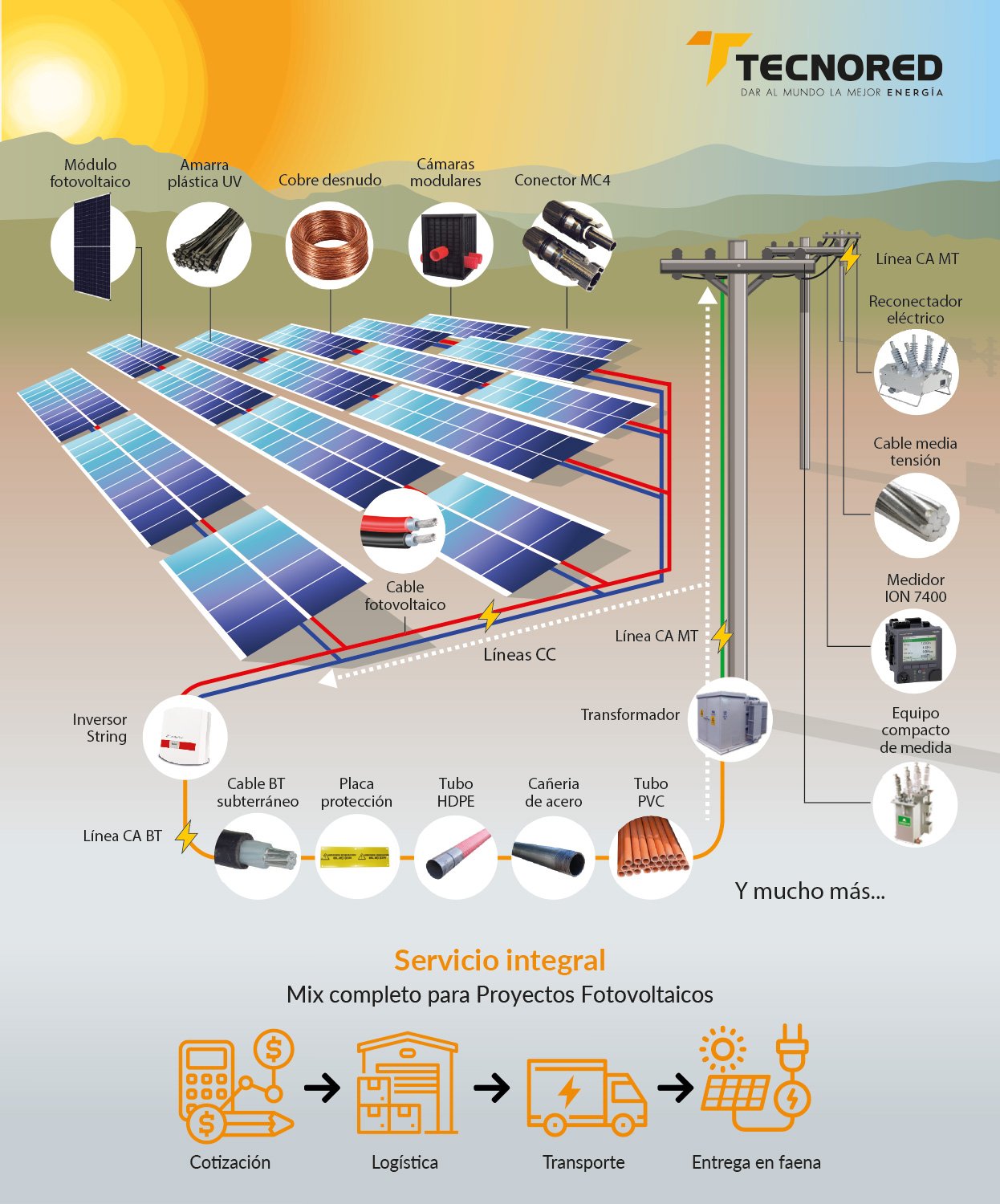 infografía-Tencored-v5-1
